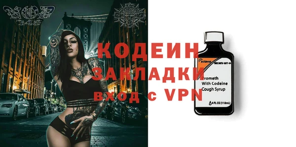 дмт Пересвет