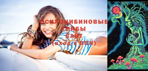 мдпв Переславль-Залесский
