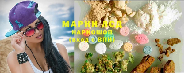 амф Пестово