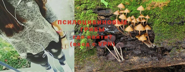 дмт Пересвет