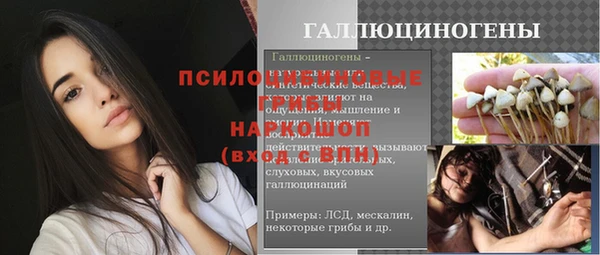 мдпв Переславль-Залесский