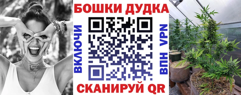 где продают   Дыгулыбгей  Каннабис OG Kush 